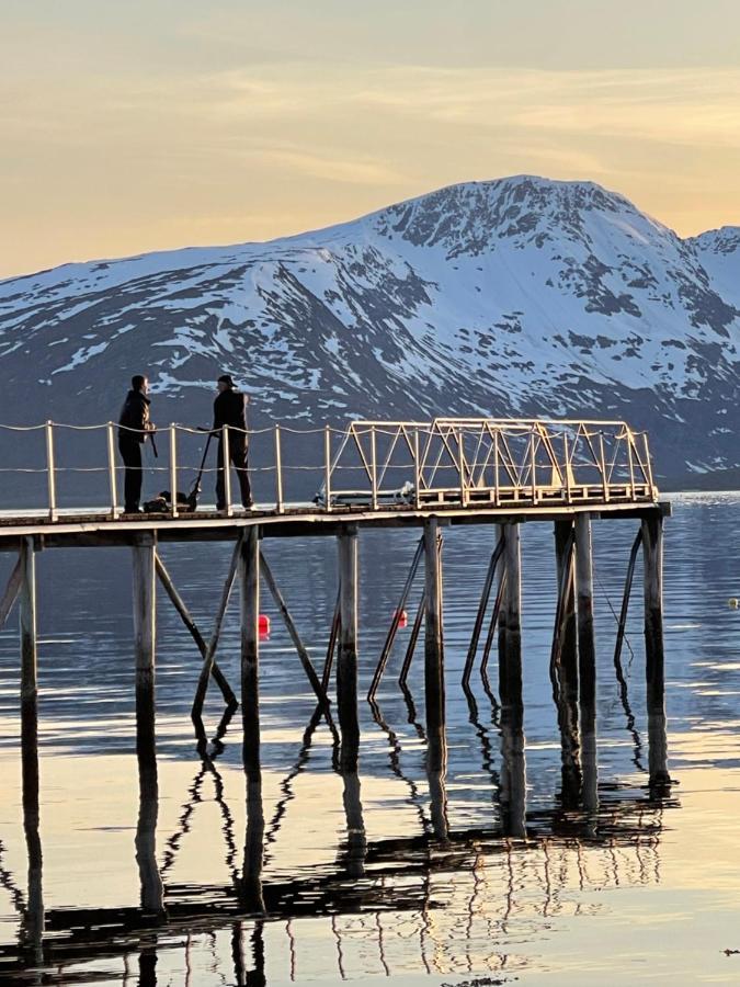 Skittenelv Lodge & Camping Tromsø Buitenkant foto